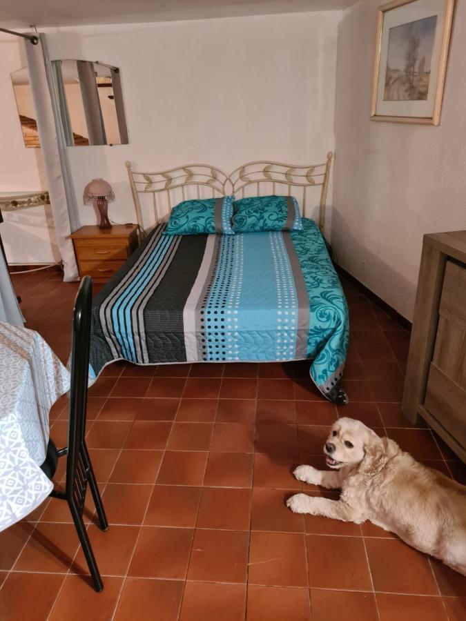 Apt 65 M2 Dans Villa Avec Piscine Banyuls Sur Mer Zewnętrze zdjęcie