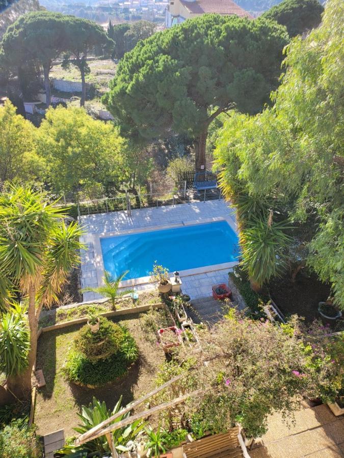 Apt 65 M2 Dans Villa Avec Piscine Banyuls Sur Mer Zewnętrze zdjęcie
